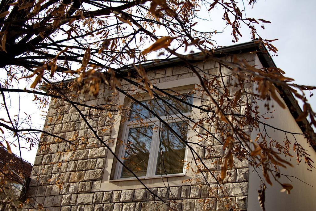 Apartments Matijasevic Nikšić Exterior foto